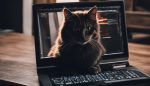 Mastering the Command: Cat All Files in Directory in Linux