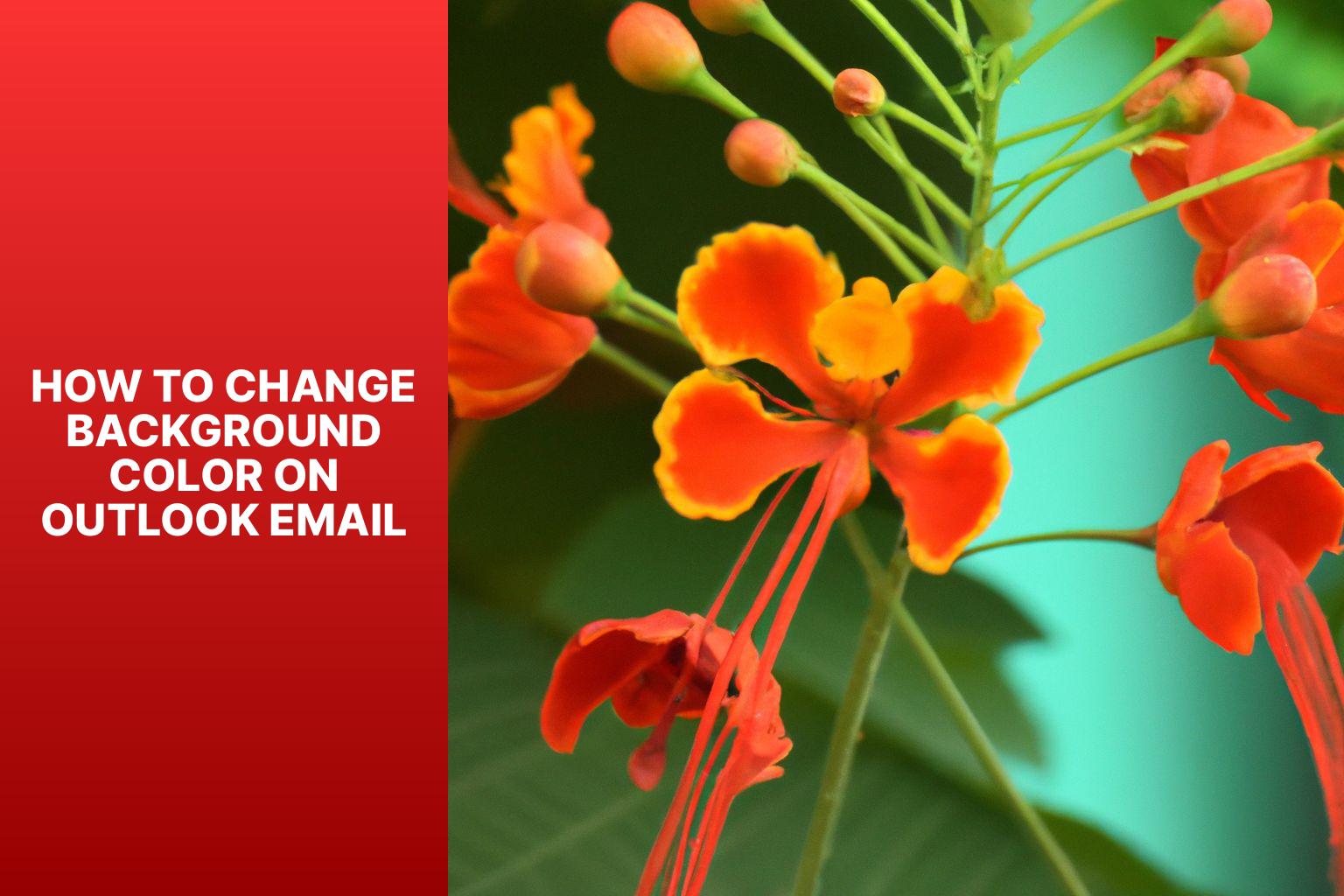 Change Background Color on Outlook Email how to change background color on outlook email6csc